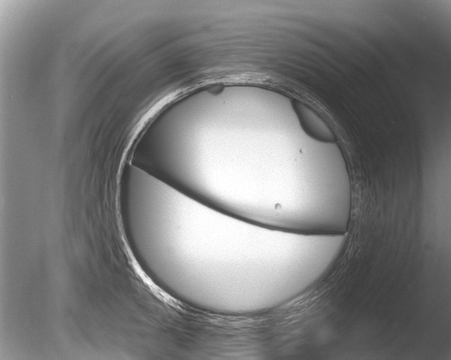 X0000086301095200703300922