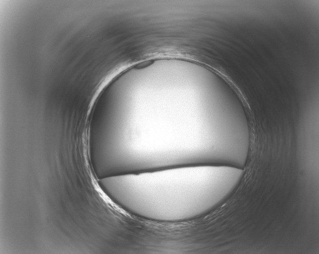 X0000086301100200703300922