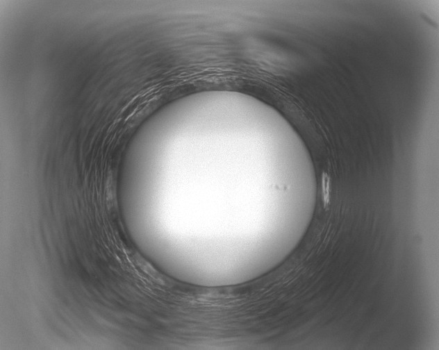 X0000086301107200703300921