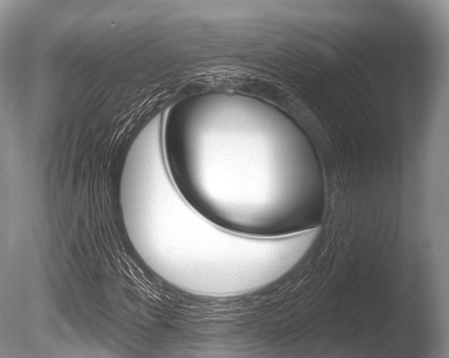 X0000086301108200703300921