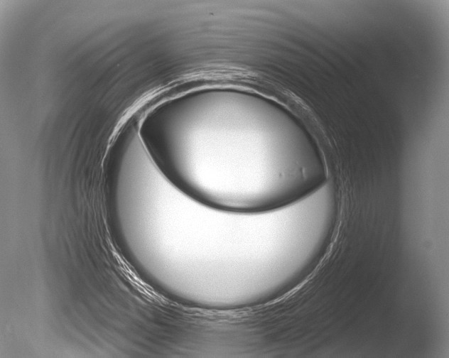 X0000086301114200703300921