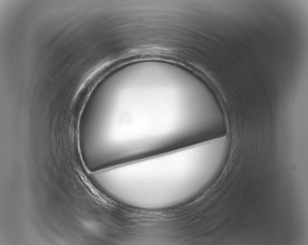 X0000086301115200703300921