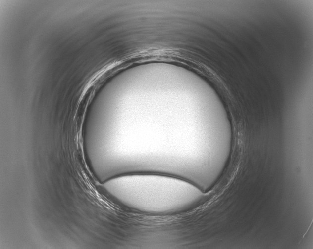 X0000086301117200703300921