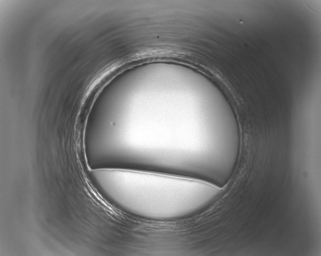 X0000086301119200703300921
