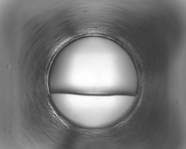 X0000086301121200703300921