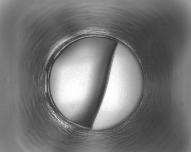 X0000086301123200703300921