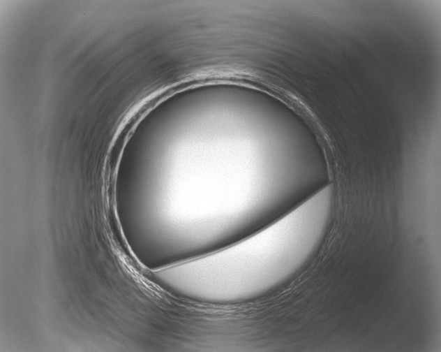 X0000086301124200703300921
