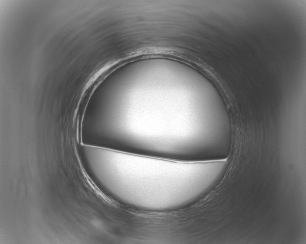 X0000086301127200703300921