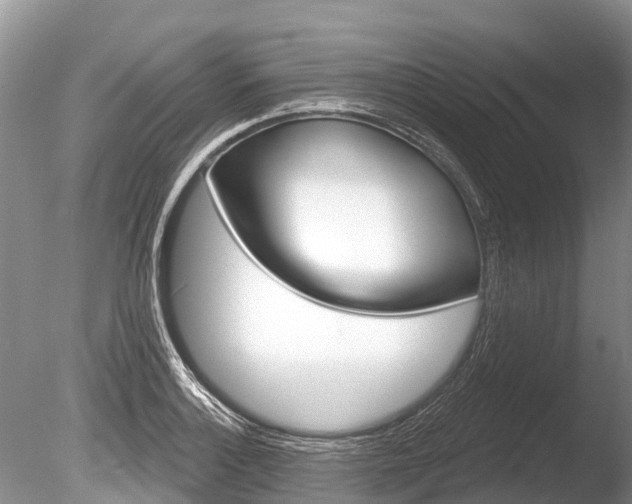 X0000086301132200703300921