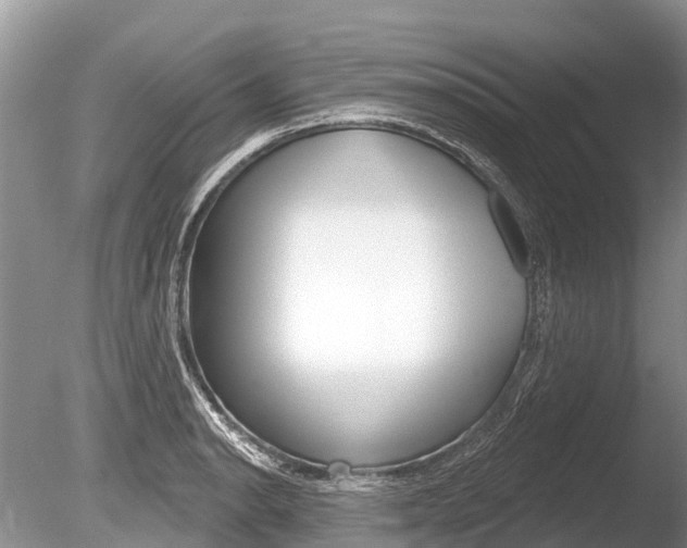 X0000086301134200703300921