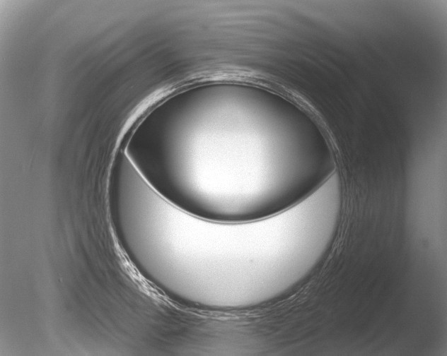 X0000086301138200703300921