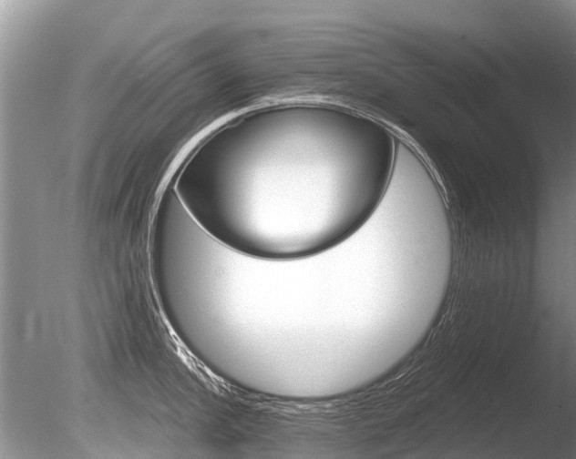 X0000086301148200703300922
