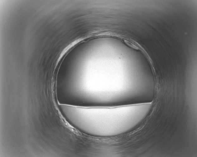 X0000086301149200703300922