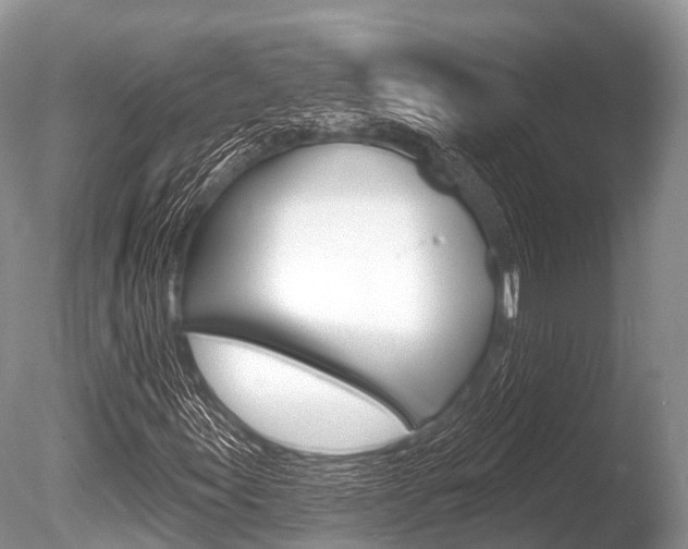 X0000086301155200703300921