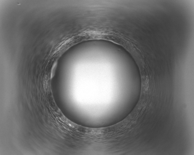 X0000086301157200703300921