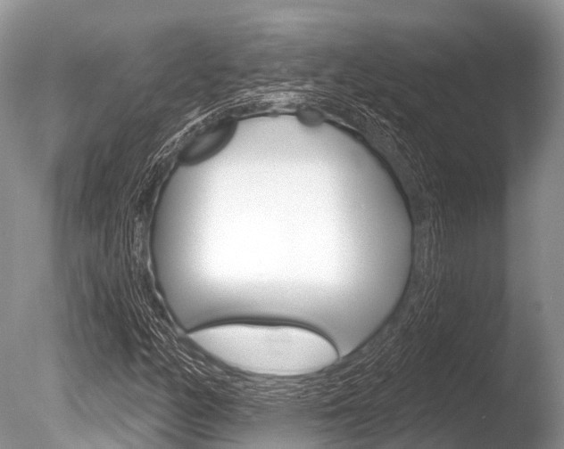 X0000086301158200703300921
