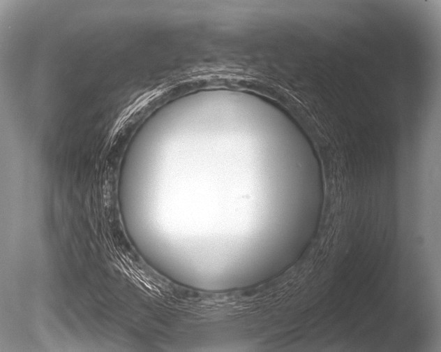 X0000086301159200703300921
