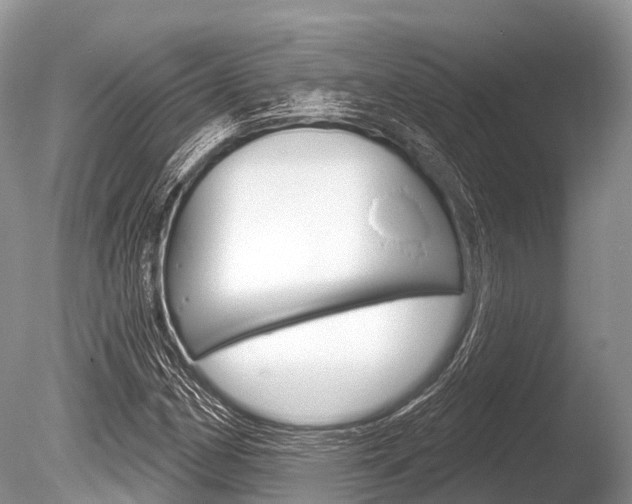 X0000086301162200703300921