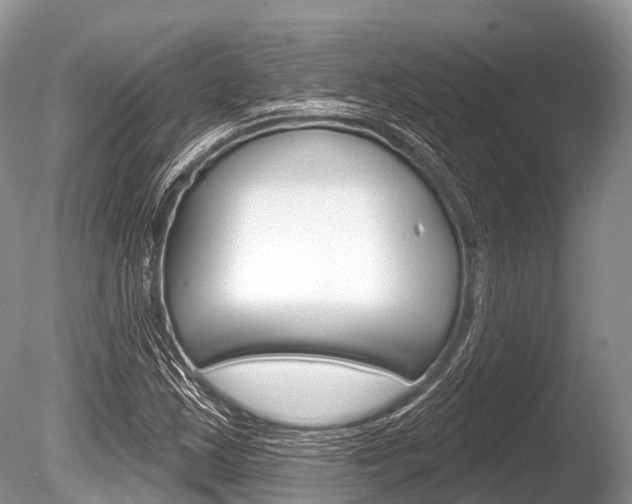 X0000086301163200703300921
