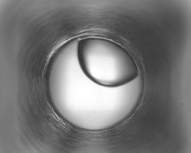 X0000086301164200703300921
