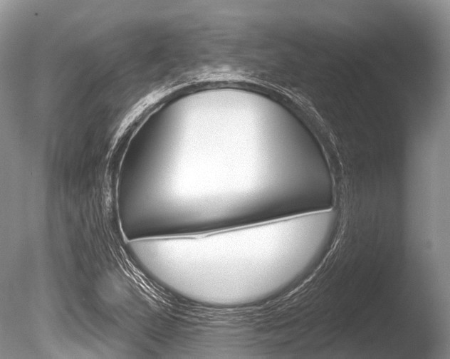 X0000086301167200703300921