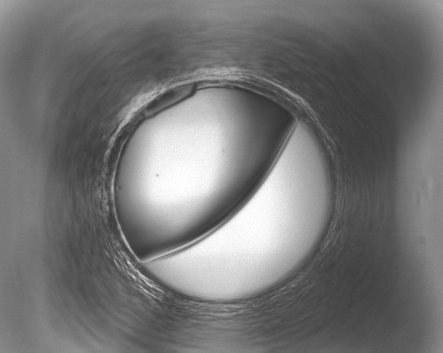 X0000086301168200703300920