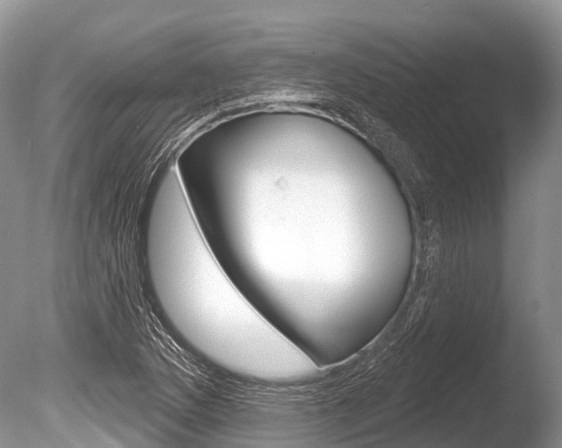 X0000086301169200703300920