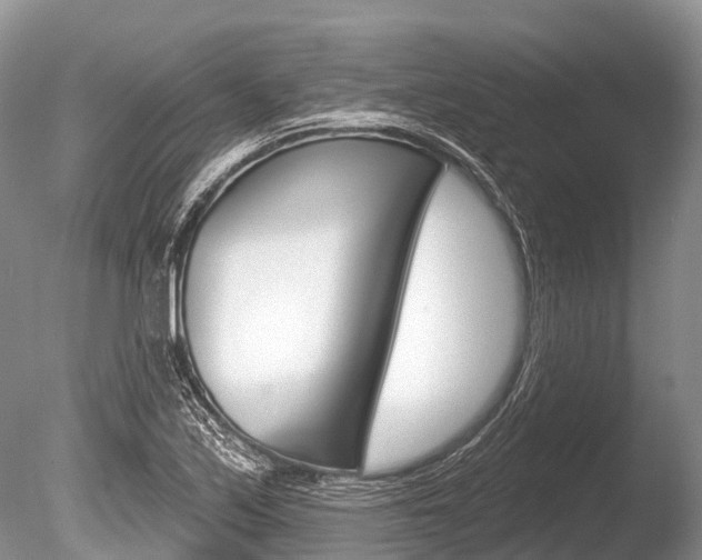 X0000086301171200703300920