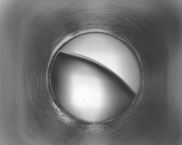 X0000086301181200703300920