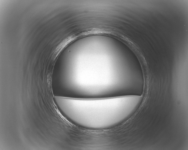 X0000086301185200703300920