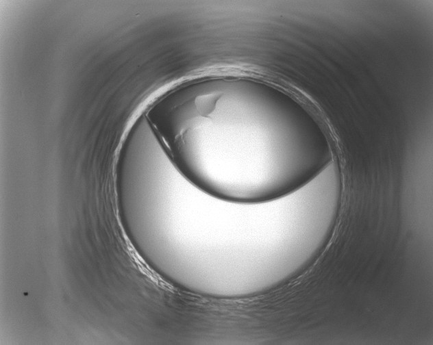 X0000086301192200703300920