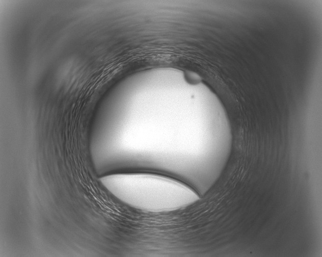 X0000086301201200703300919