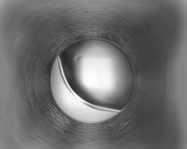X0000086301202200703300919