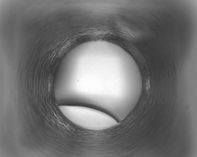 X0000086301204200703300919