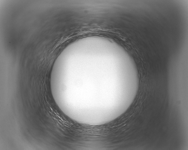 X0000086301206200703300919