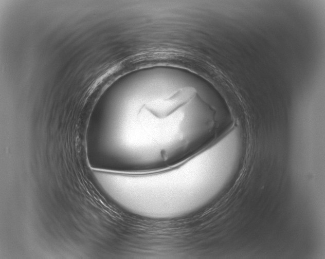 X0000086301210200703300919