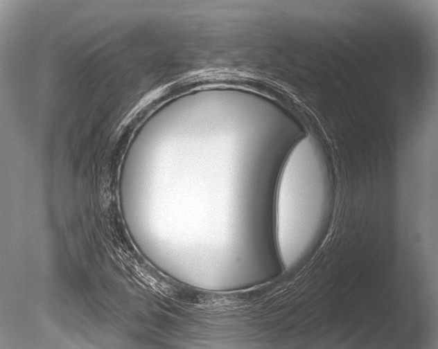 X0000086301213200703300919