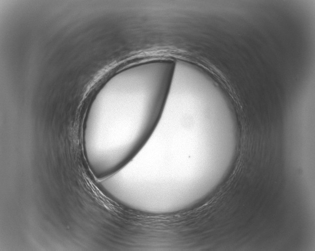 X0000086301216200703300919