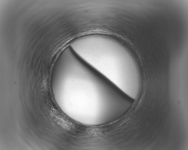 X0000086301217200703300919