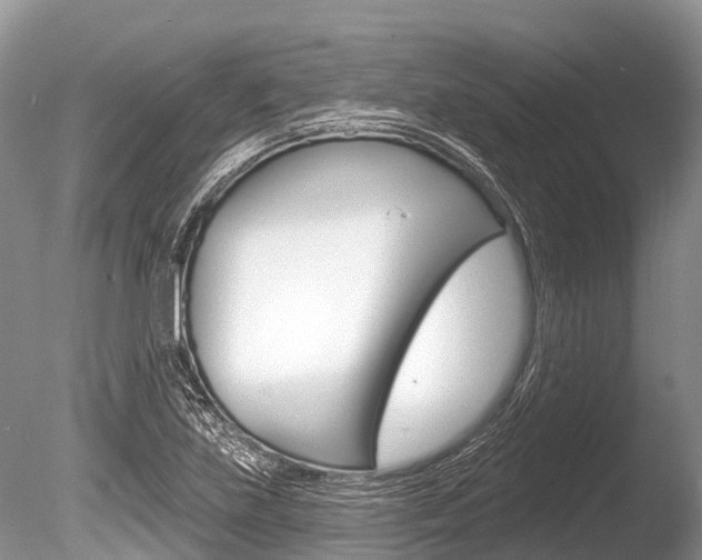 X0000086301219200703300919