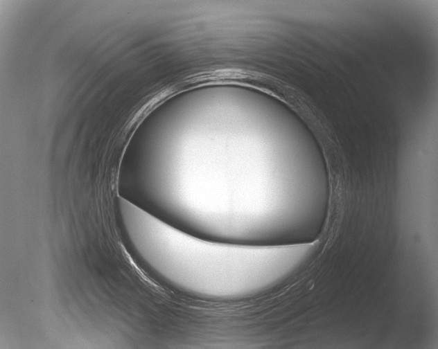 X0000086301225200703300919