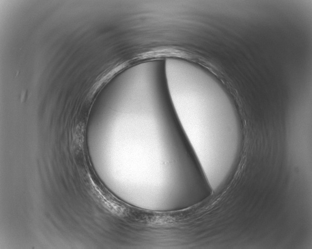 X0000086301233200703300920