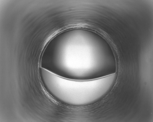 X0000086301234200703300920