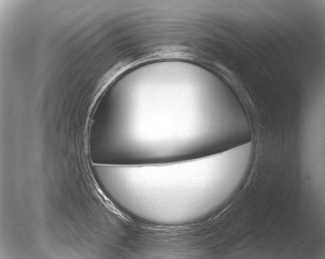 X0000086301236200703300920