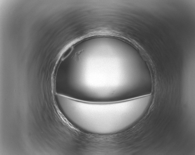 X0000086301238200703300920