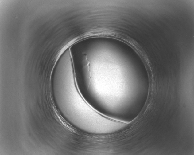 X0000086301242200703300920