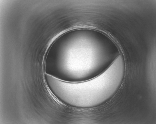 X0000086301246200703300920