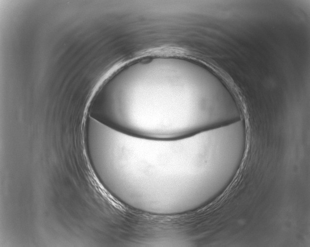 X0000086301248200703300920