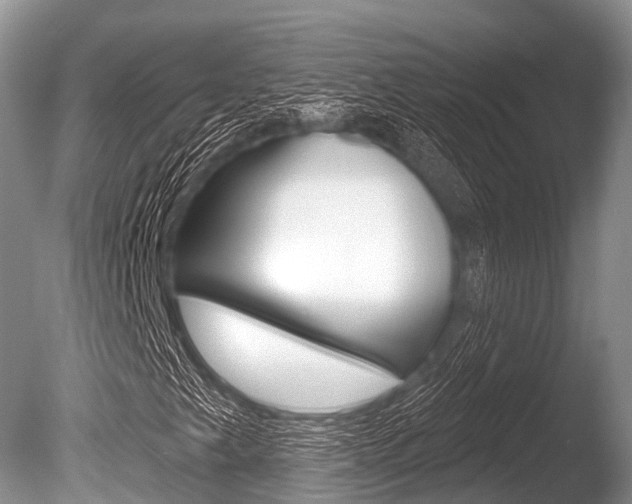 X0000086301249200703300919