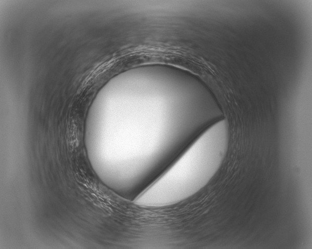 X0000086301253200703300919